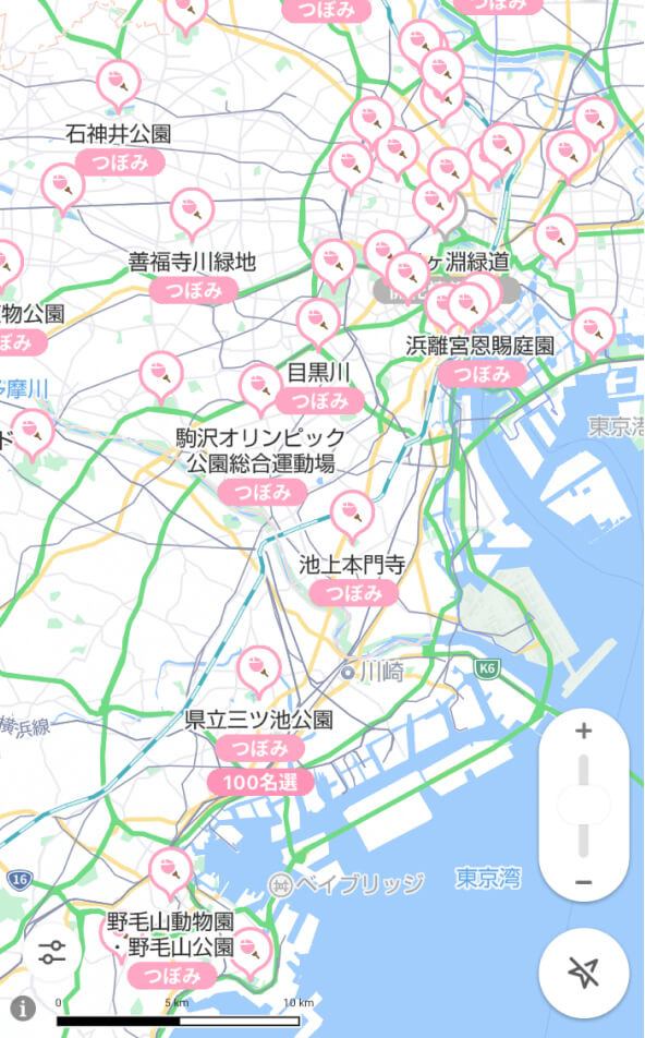 東京都周辺の地図に桜開花情報がある場所の多数のピンが表示され、画面下部には拡大されたポップアップがある。