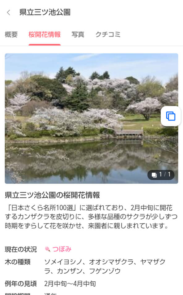 県立三ツ池公園の桜開花情報ページ。桜の開花状況は「つぼみ」と表示されており、写真には池と桜の風景が写っている。木の種類や見頃の時期、開園時間、駐車場の情報が記載されている。