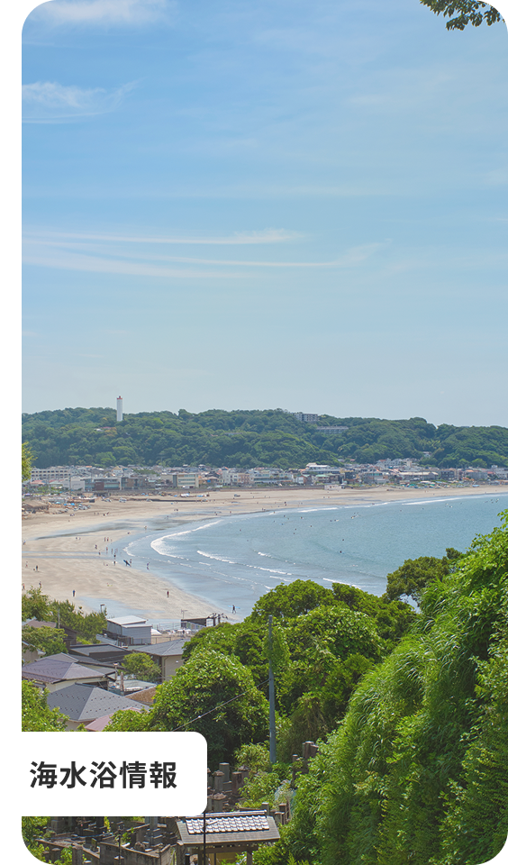 青い海と山々に囲まれた海岸沿いの町並み