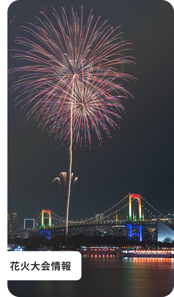 夜空に咲く大輪の花火とライトアップされた橋